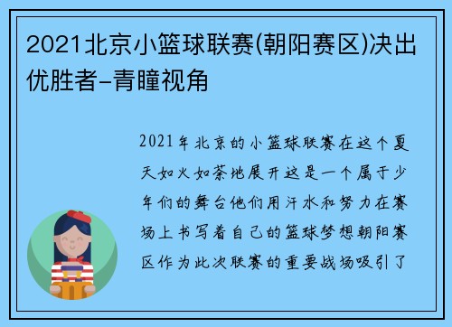 2021北京小篮球联赛(朝阳赛区)决出优胜者-青瞳视角